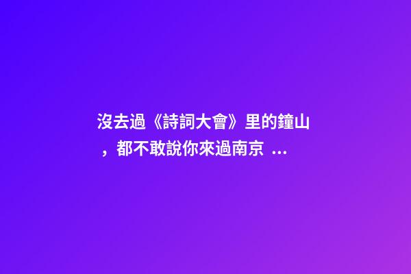 沒去過《詩詞大會》里的鐘山，都不敢說你來過南京！